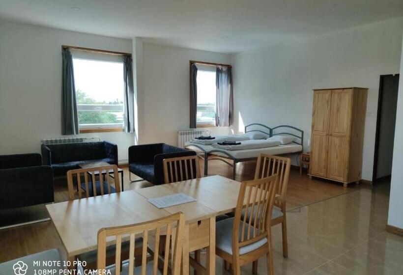 带按摩浴盆的套房, Penzion Starý Dvůr