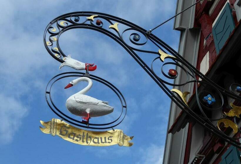 חדר סטנדרט, Gasthaus Schwanen