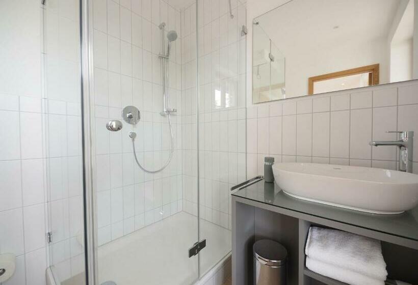 חדר סטנדרט, Gasthaus Schwanen