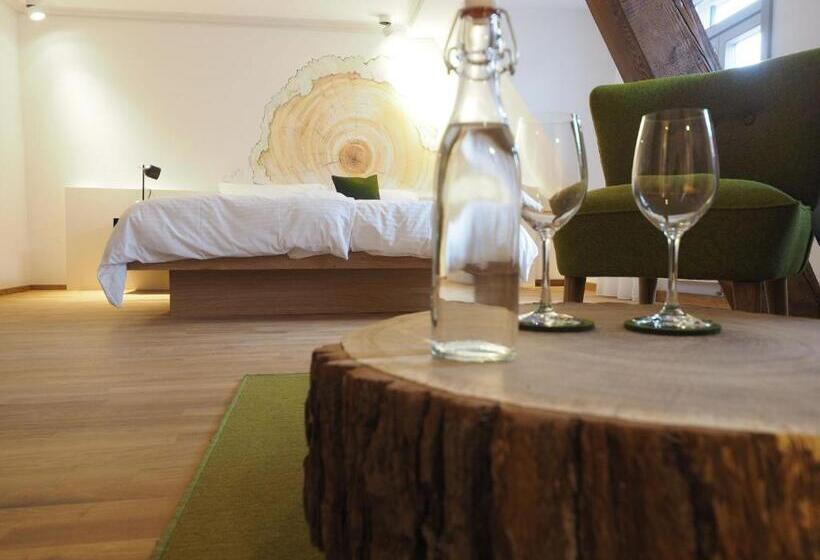 חדר סטנדרט, Gasthaus Schwanen