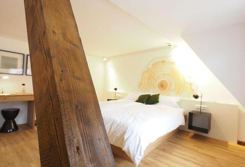 חדר סטנדרט, Gasthaus Schwanen