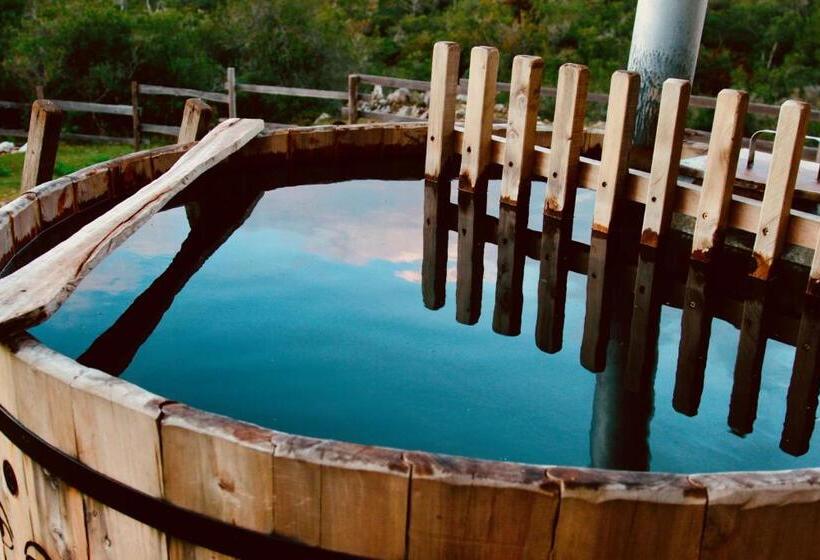 סטודיו דלוקס, Octogono Om Shanti