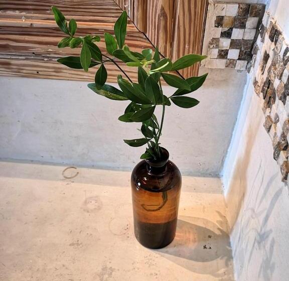 בקתה דלוקס, Octogono Om Shanti