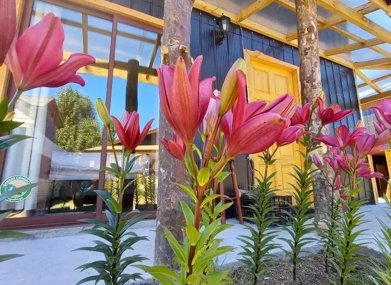 ３ベッドルームハウス, Cabanas Senderos Puyuhuapi