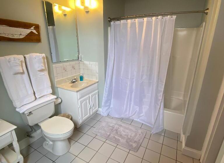 带大床的豪华间, The Ocean House