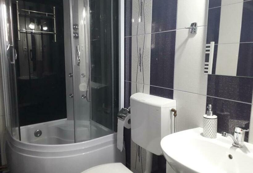 スタンダードルーム, Pensiunea Ileana