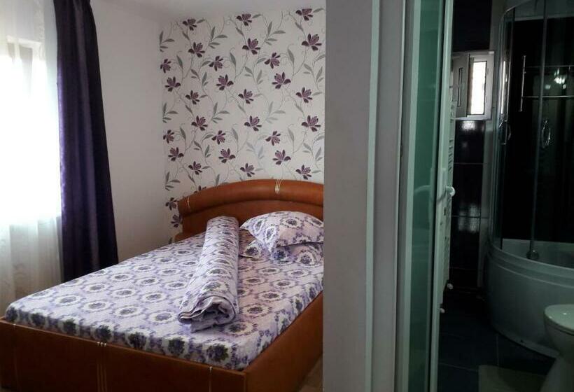 スタンダードルーム, Pensiunea Ileana