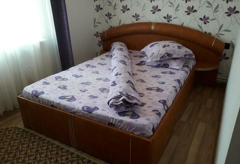 Номер Стандарт, Pensiunea Ileana
