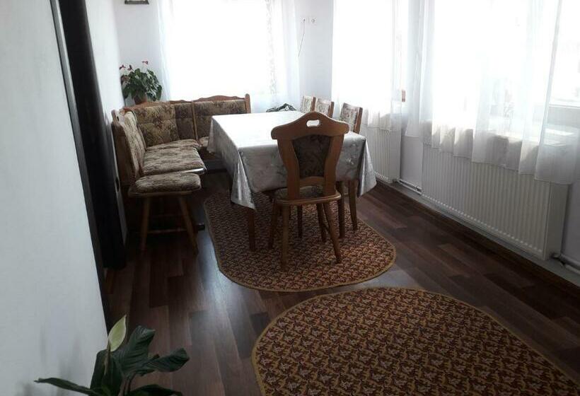 スタンダードルーム, Pensiunea Ileana