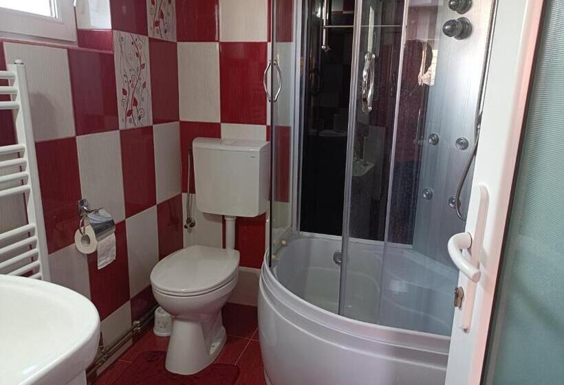 スタンダードトリプルルーム, Pensiunea Ileana