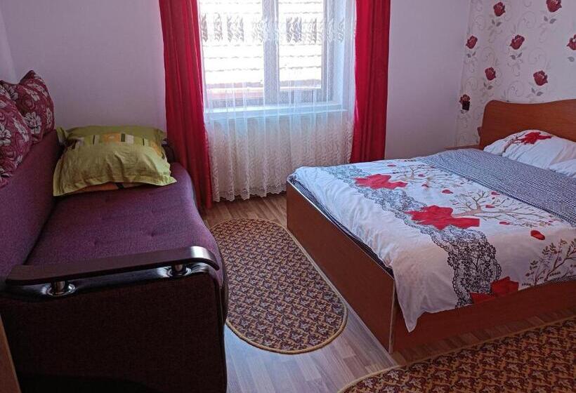 スタンダードトリプルルーム, Pensiunea Ileana