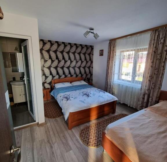 スタンダードトリプルルーム, Pensiunea Ileana