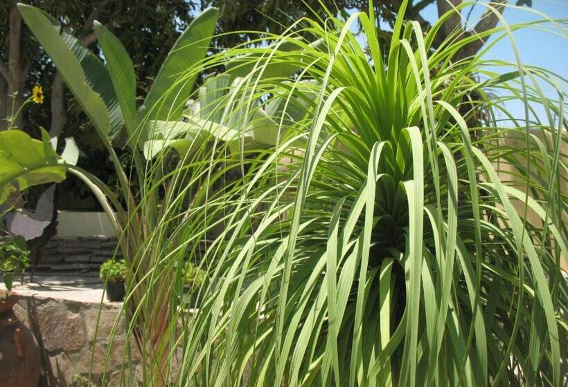 غرفة عائلية مطلّة علي البحر, Hacienda De Palmas