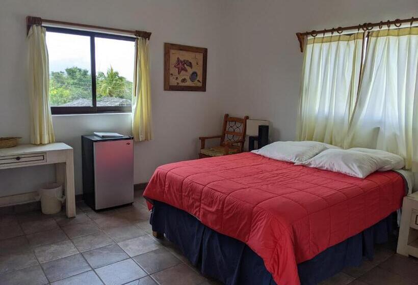 غرفة قياسية مطلّة علي البحر, Hacienda De Palmas