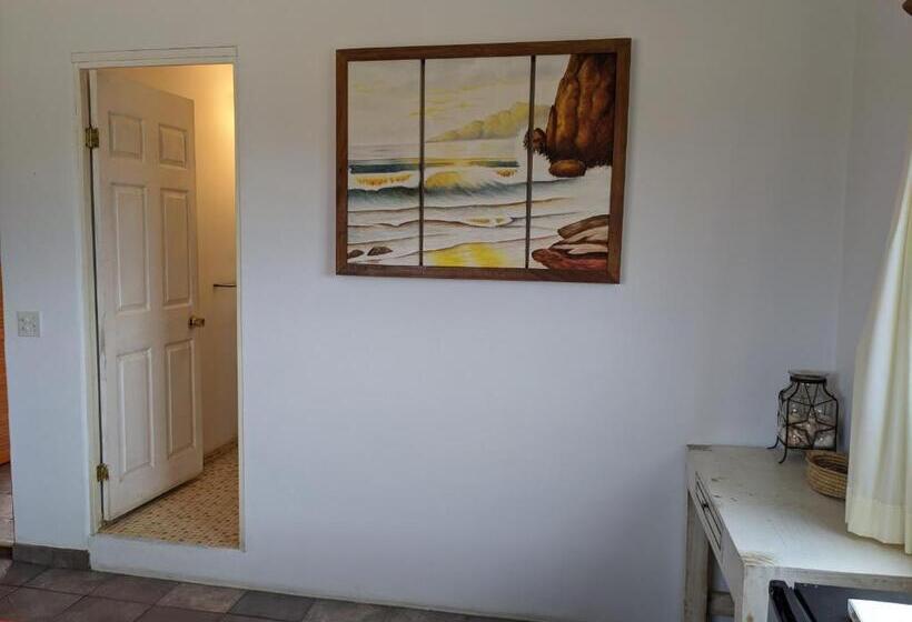 غرفة قياسية مطلّة علي البحر, Hacienda De Palmas