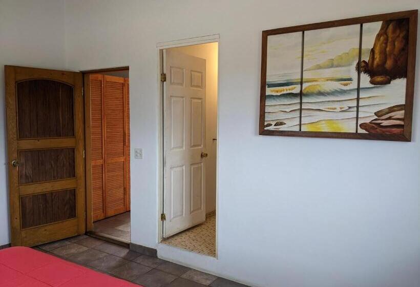 غرفة قياسية مطلّة علي البحر, Hacienda De Palmas