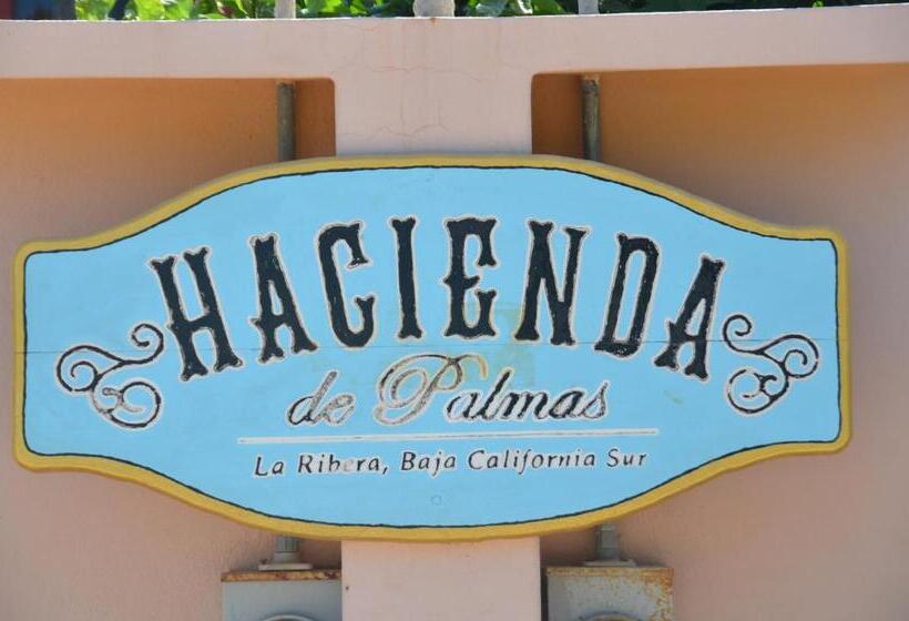 オーシャンビューファミリールーム, Hacienda De Palmas