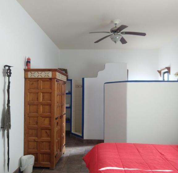 غرفة قياسية إطلالة جانبية علي البحر, Hacienda De Palmas