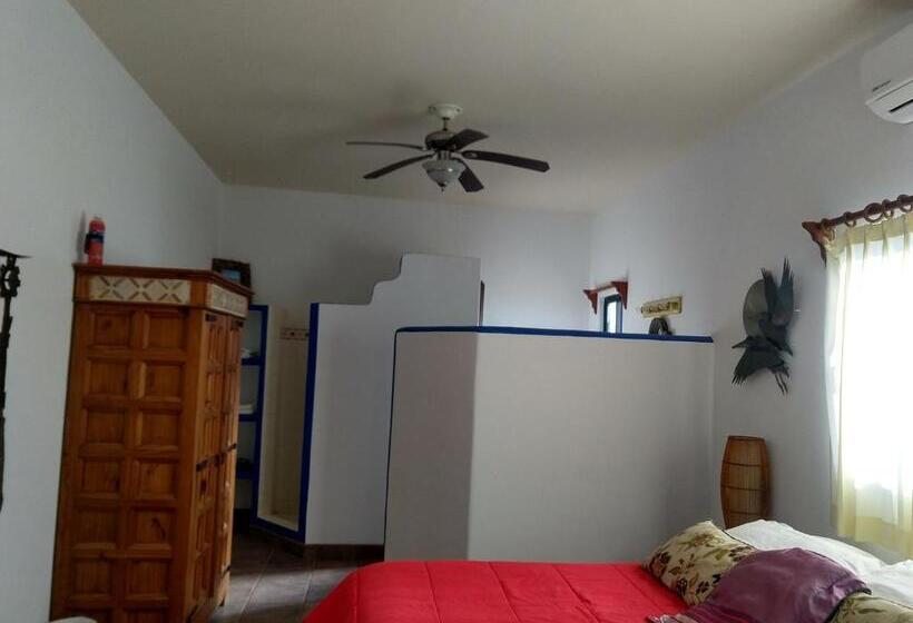 غرفة قياسية إطلالة جانبية علي البحر, Hacienda De Palmas