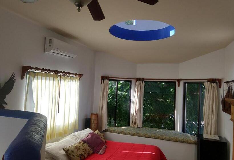 غرفة قياسية إطلالة جانبية علي البحر, Hacienda De Palmas