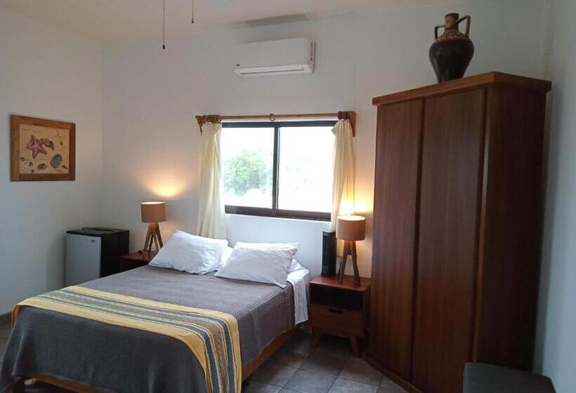 غرفة قياسية مطلّة علي البحر, Hacienda De Palmas