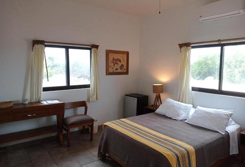 غرفة قياسية مطلّة علي البحر, Hacienda De Palmas