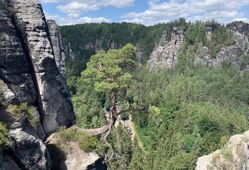 חדר משפחתי דלוקס, Devítka