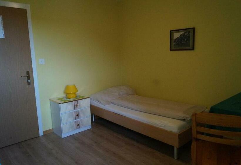 חדר סטנדרט יחיד, Gasthof Kastanienbaum