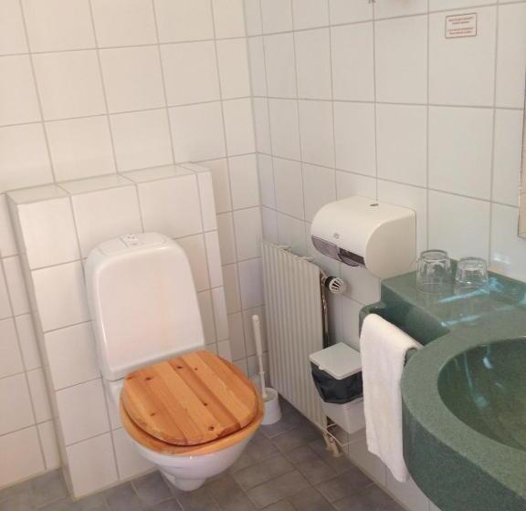 غرفة عائلية, Två Skyttlar