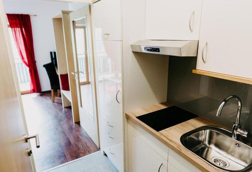 דירה בת חדר שינה 1 עם מרפסת, Gasthof Wunder