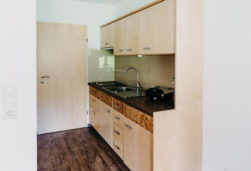 דירה בת חדר שינה 1 עם מרפסת, Gasthof Wunder