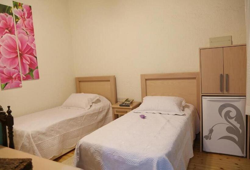 غرفة قياسية, Cypriot Swallow Boutique