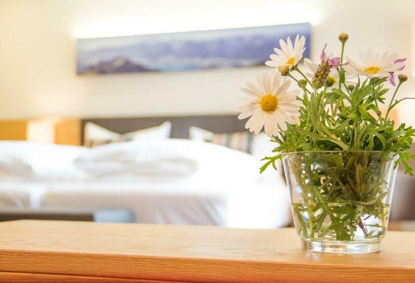 غرفة قياسية, Gasthof Beim Böckhiasl