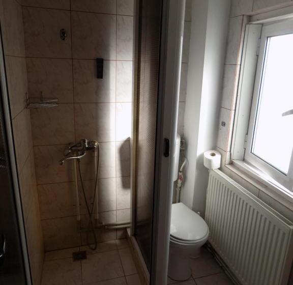 Номер Стандарт, Agro Pensiunea Plaiul Castanilor