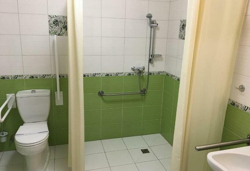 スタンダードトリプルルーム, Ryšavý