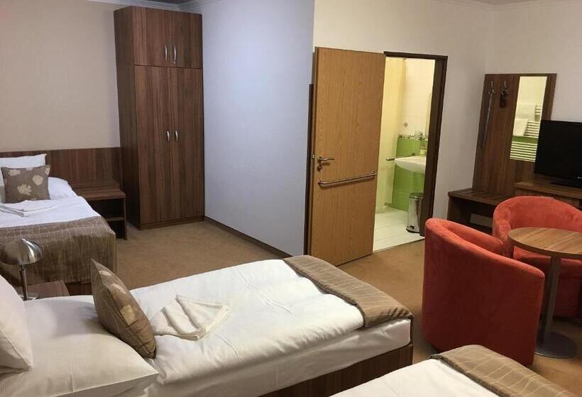 スタンダードトリプルルーム, Ryšavý