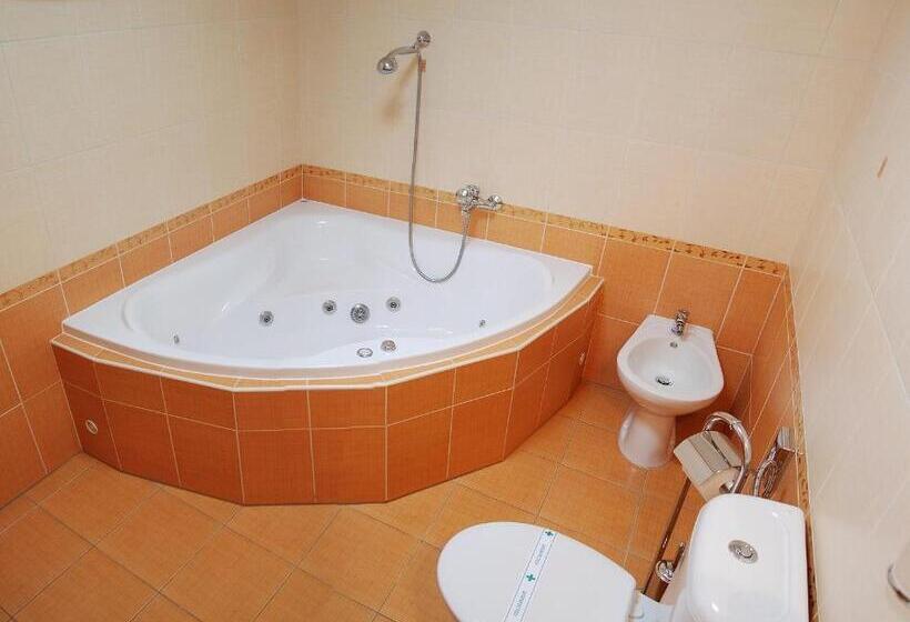 スタンダードルーム, Ryšavý