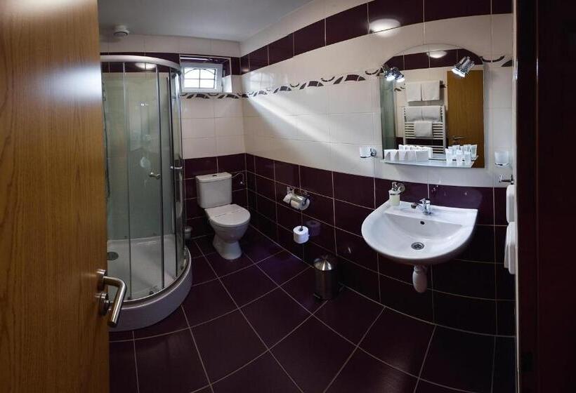 スタンダード４人部屋, Ryšavý