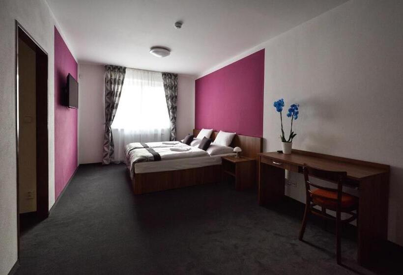 スタンダード４人部屋, Ryšavý