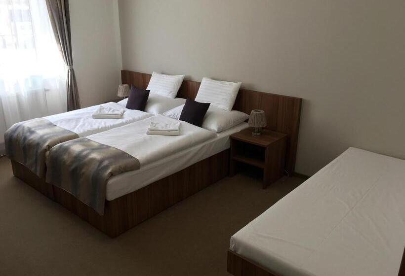 スタンダードトリプルルーム, Ryšavý