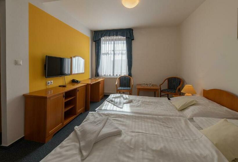 חדר סטנדרט, U Sládka