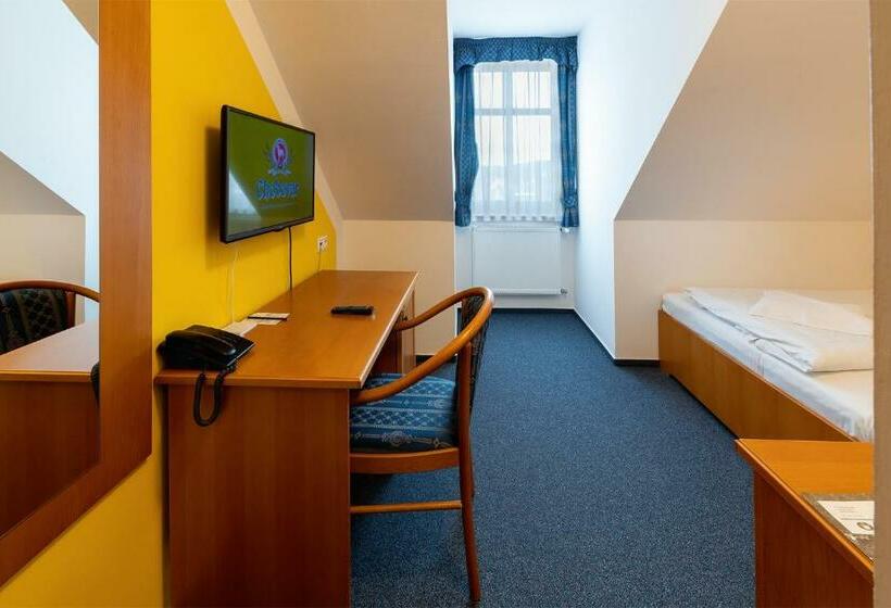 חדר סטנדרט יחיד, U Sládka