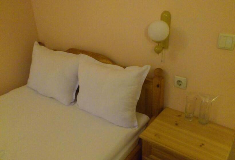 חדר סטנדרט יחיד, Yagodina Family