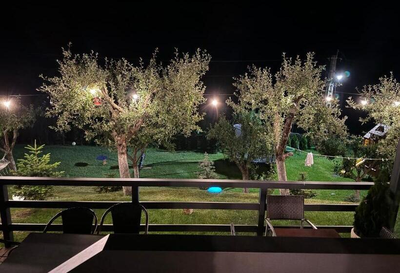 标准间, Cazare Colibita Casa Lipan