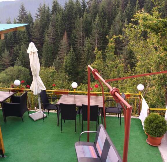 标准三人间, Guest House Stoletnika