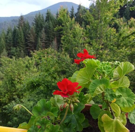 标准三人间, Guest House Stoletnika