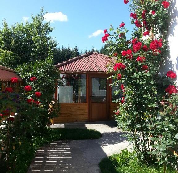 Номер Стандарт Вид на Горы, Guest House Stoletnika