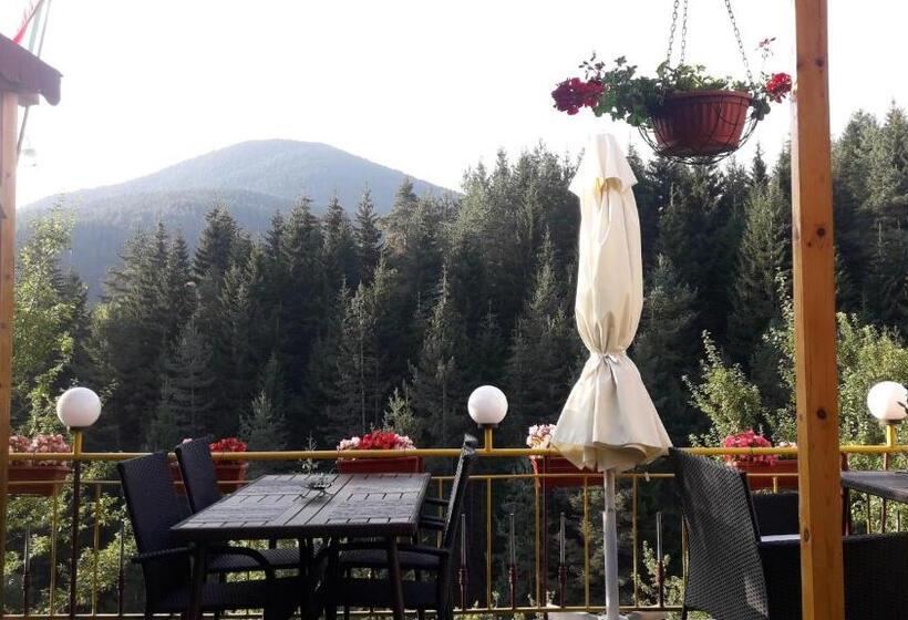 Номер Стандарт Вид на Горы, Guest House Stoletnika