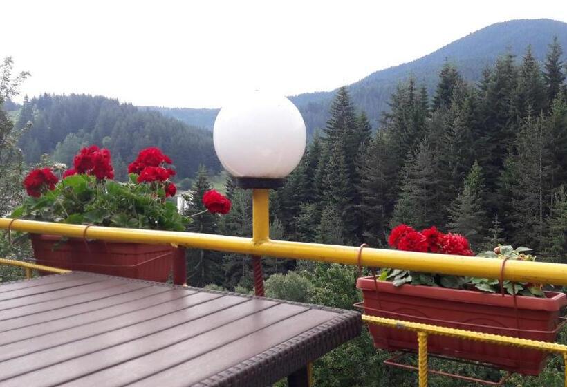 标准间带山景, Guest House Stoletnika