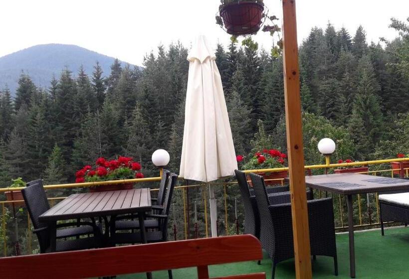 标准间带山景, Guest House Stoletnika